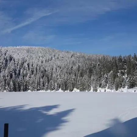 Le Nid D'hirondelle 2 A 6 Wihr-au-Val